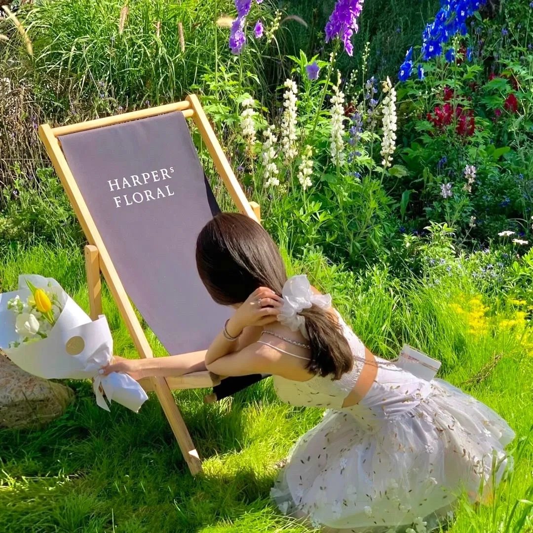 明星大侦探第七季